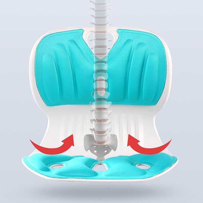 🪑SILLA ORTOPÉDICA LUMBAR 🧘♀️+ COJÍN ANTIESPASMOS ¡GRATIS!